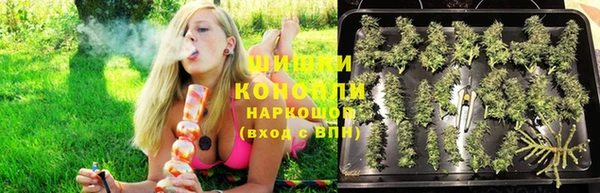 мдпв Осинники