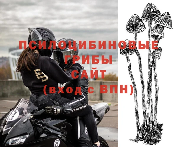 крисы Осташков