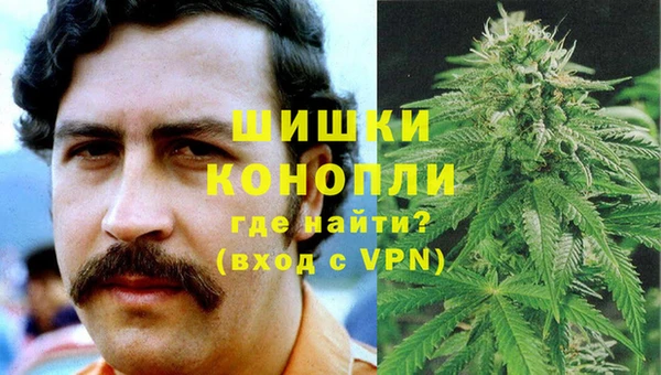 мдпв Осинники